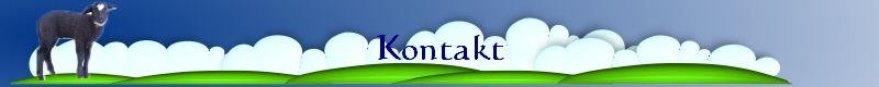 Kontakt