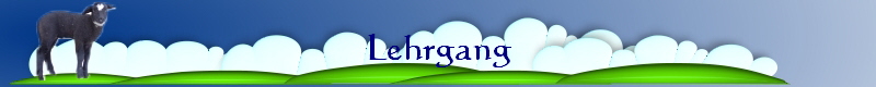 Lehrgang