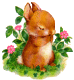 hase_058