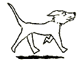 hunde_07 hunde_07